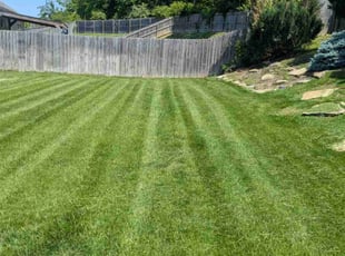 Lisaney K.'s grass cutting service result