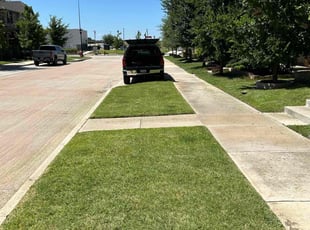 Ashley B.'s lawn service service result