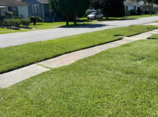 Lindsay F.'s turf maintenance service result