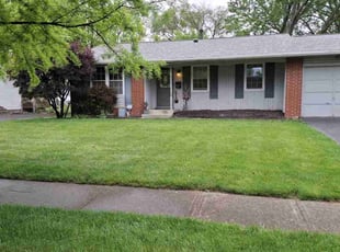 Alex F.'s turf care service result