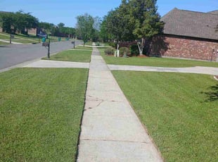 Nicole B.'s lawn care service result