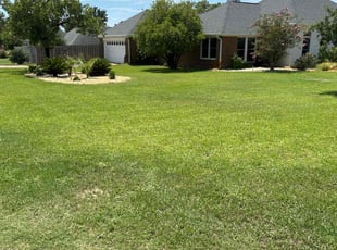 Allison G.'s grass maintenance service result