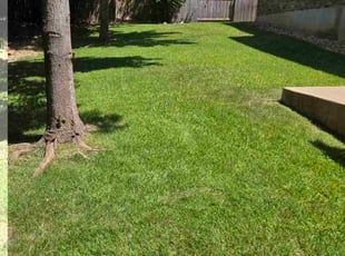 Amanda B.'s lawn maintenance service result