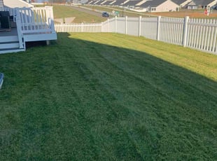 Austin C.'s lawn care service result