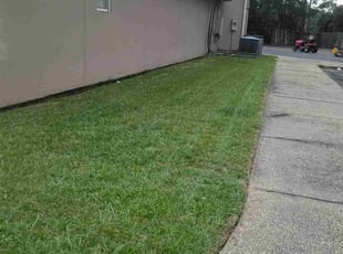 Kelli C.'s grass cutting service result