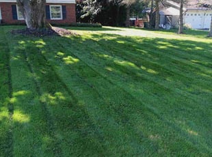 James H.'s lawn care service result
