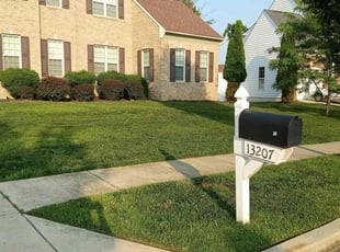 Monica N.'s turf maintenance service result