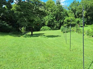 Katie C.'s lawn service service result