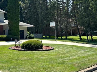 Pamela S.'s grass cutting service result