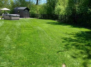 Janice D.'s lawn care service result