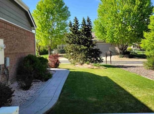 Darlene S.'s turf maintenance service result