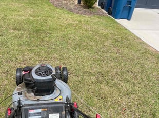Laura L.'s lawn maintenance service result