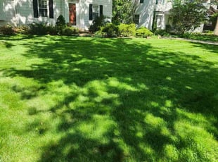 Teresa W.'s lawn care services service result
