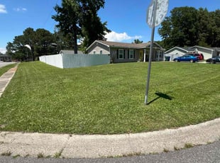 Jonathan H.'s grass maintenance service result