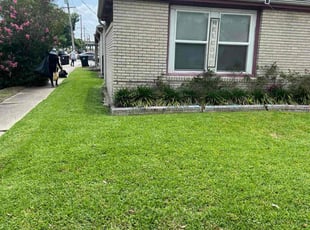 Mark H.'s lawn care services service result