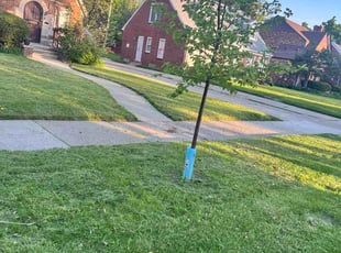 Brett S.'s lawn service service result