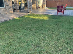 Peter M.'s lawn care services service result