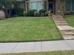 Elaine T.'s grass maintenance service result