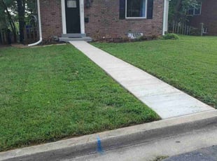 Michelle W.'s grass maintenance service result