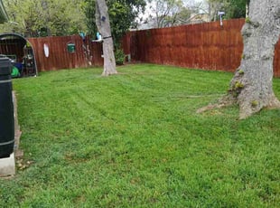 Jewel L.'s lawn maintenance service result