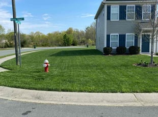 Melanie A.'s grass maintenance service result