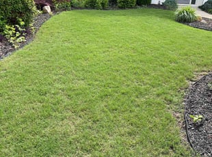 Brandon H.'s lawn care services service result