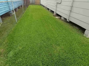 Catherine S.'s grass maintenance service result