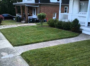 Tom S.'s lawn service service result