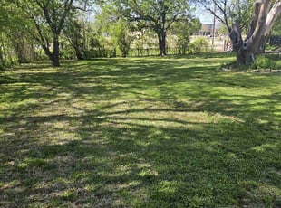 Margaret P.'s lawn maintenance service result
