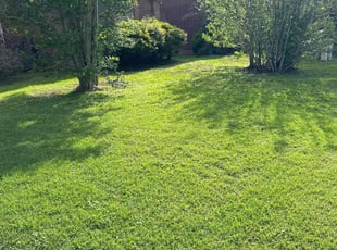 Stephen S.'s lawn maintenance service result