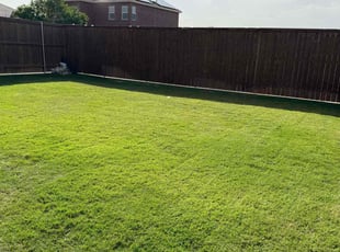 Susan S.'s grass cutting service result