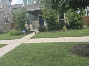 Patsy L.'s lawn service service result