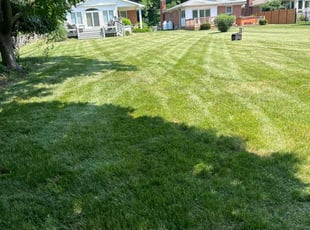 Ben A.'s lawn maintenance service result