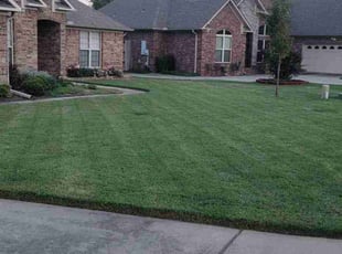 Carolyn D.'s turf care service result