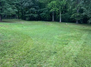 Randy C.'s turf care service result