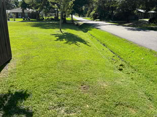 Micheal P.'s grass maintenance service result