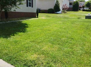 Kia W.'s grass cutting service result