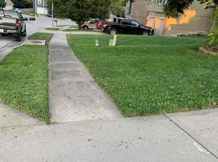 Brandin B.'s turf care service result