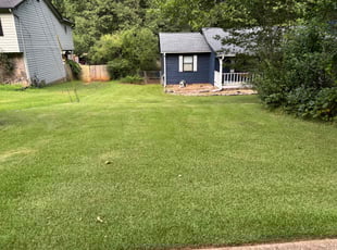 Pat H.'s grass cutting service result
