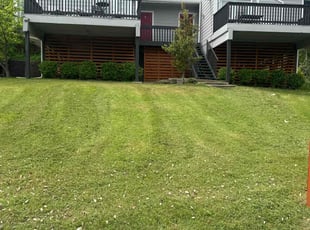 Victoria P.'s turf care service result