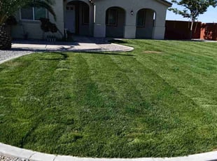 Isabel B.'s grass maintenance service result