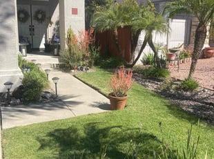 Jenny C.'s turf maintenance service result