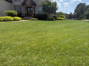 Daniel E.'s turf care service result
