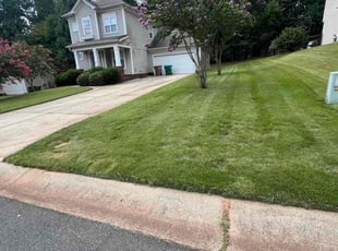 Galina M.'s turf maintenance service result