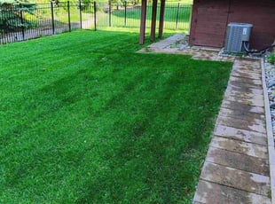 Christopher H.'s lawn care services service result