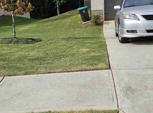 Michael R.'s grass cutting service result