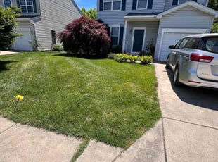 Sandra C.'s turf care service result