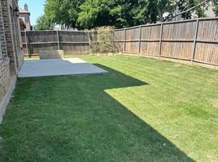 Itzel D.'s lawn maintenance service result