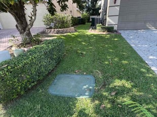 Natalie V.'s Bush Trimming service result