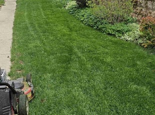 Nate J.'s lawn maintenance service result